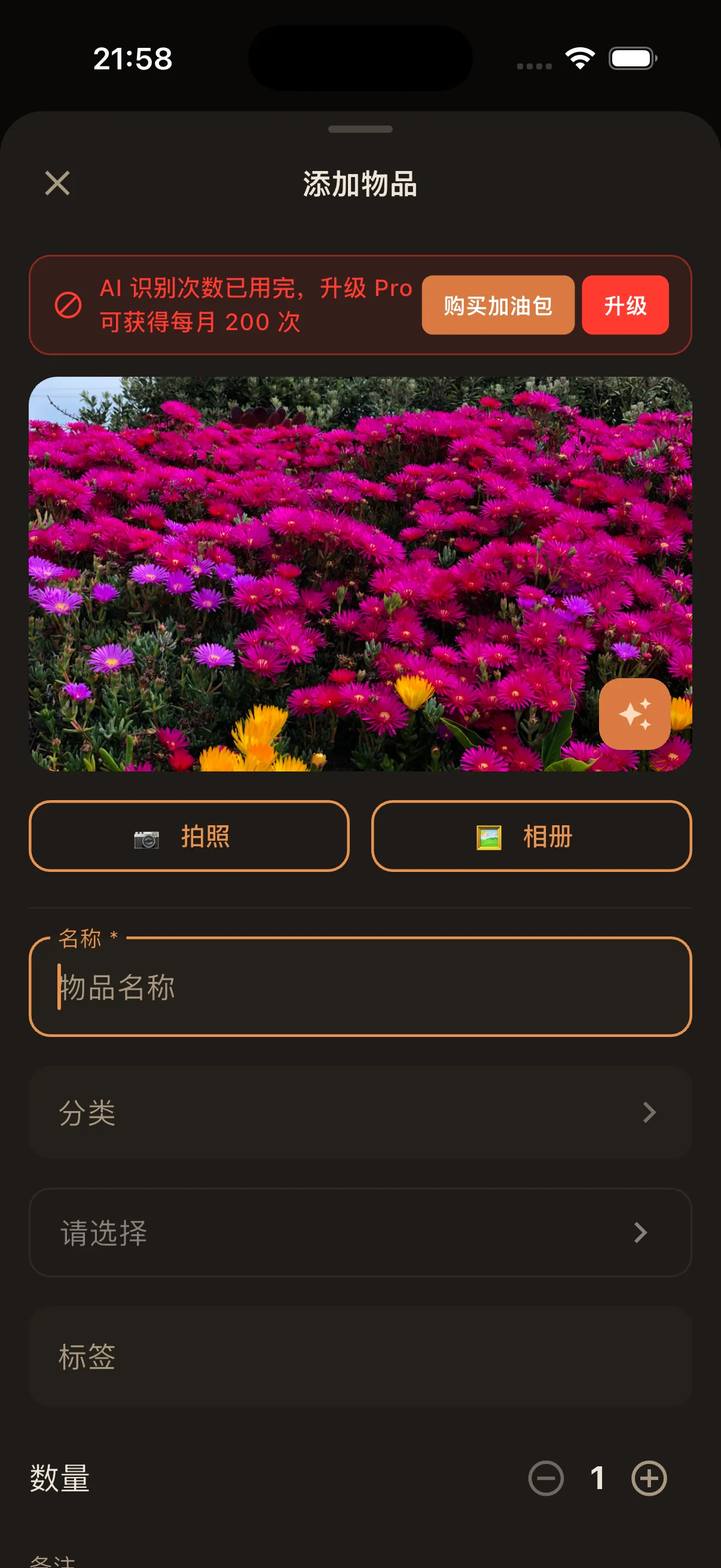 AI 识别界面